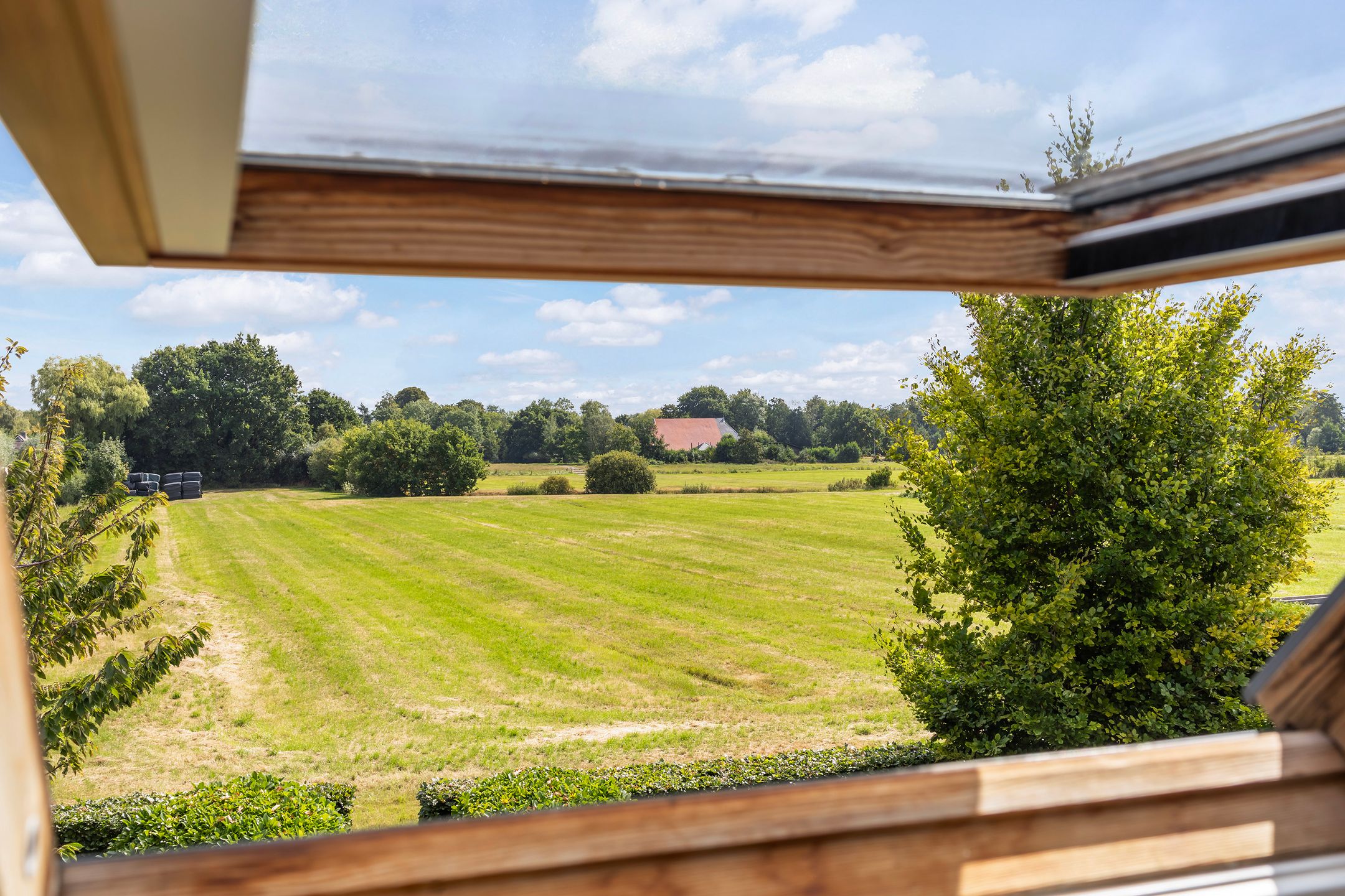 Foto 30 van Reidklyster 40