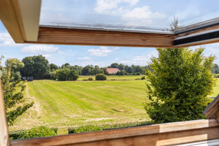 Foto 30 van Reidklyster 40