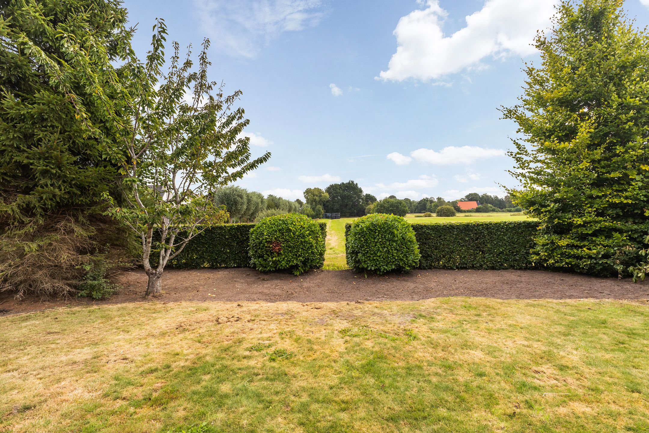 Foto 36 van Reidklyster 40