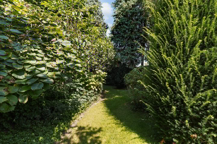 Foto 58 van Raadhuisstraat 11