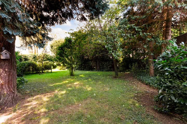 Foto 61 van Raadhuisstraat 11