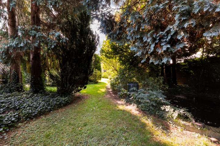 Foto 62 van Raadhuisstraat 11