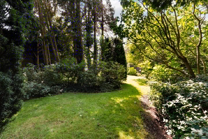 Foto 63 van Raadhuisstraat 11