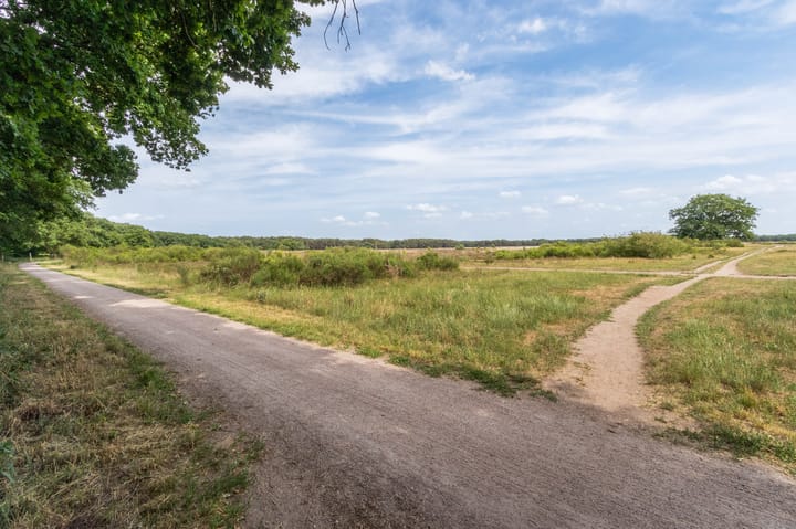 Foto 24 van Soerstraat 36