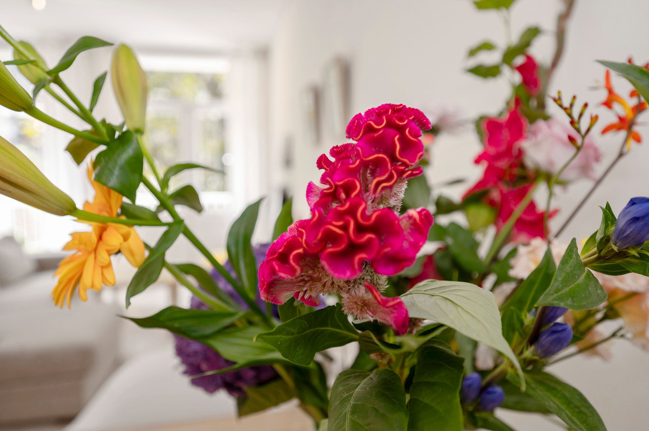 Foto 9 van Semarangstraat 28-1