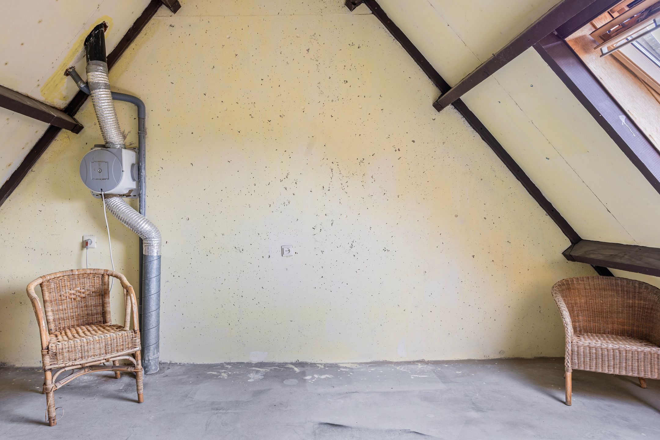 Foto 21 van Rielant 68