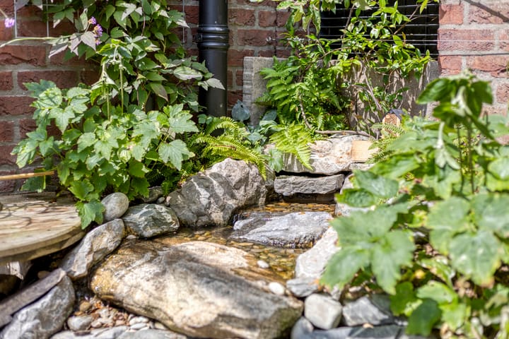 Foto 43 van Parklaan 17