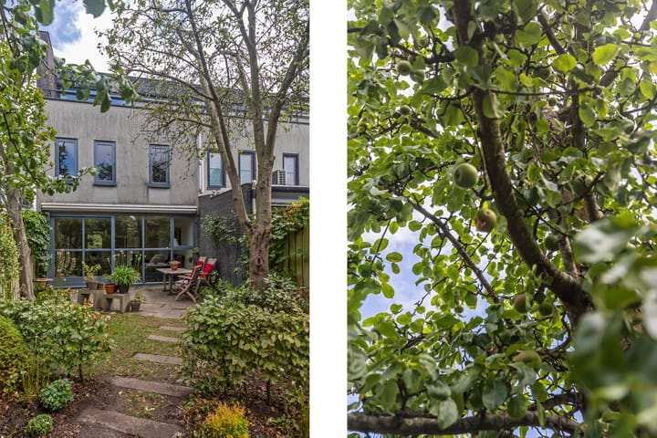 Foto 18 van Ipenrodeplantsoen 17