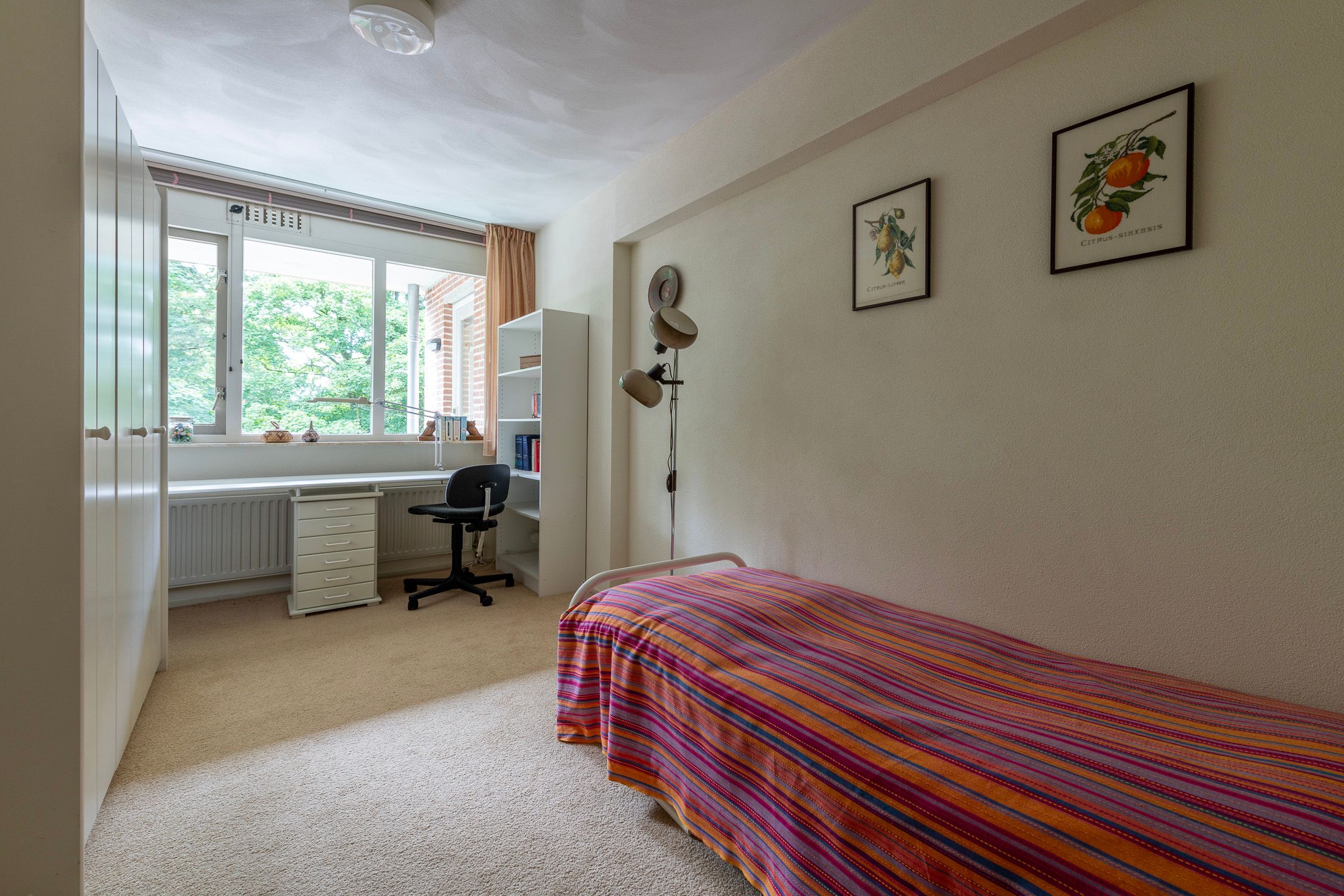 Foto 12 van Bachlaan 137