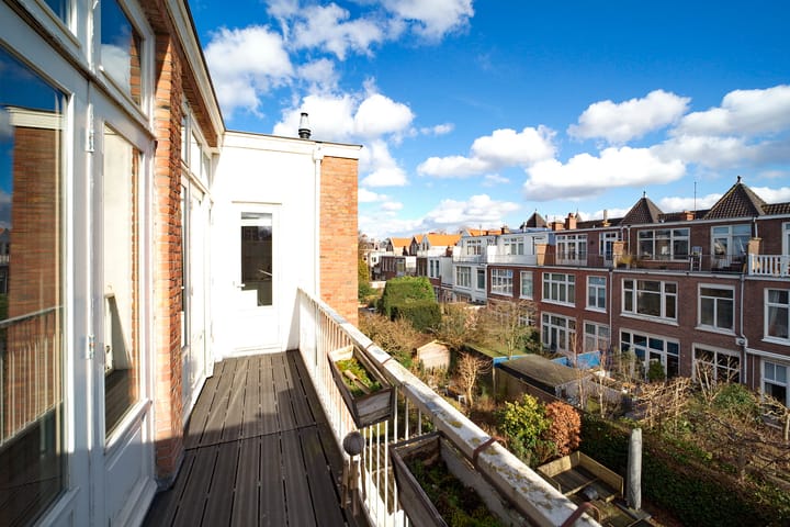 Foto 14 van Van Aerssenstraat 270