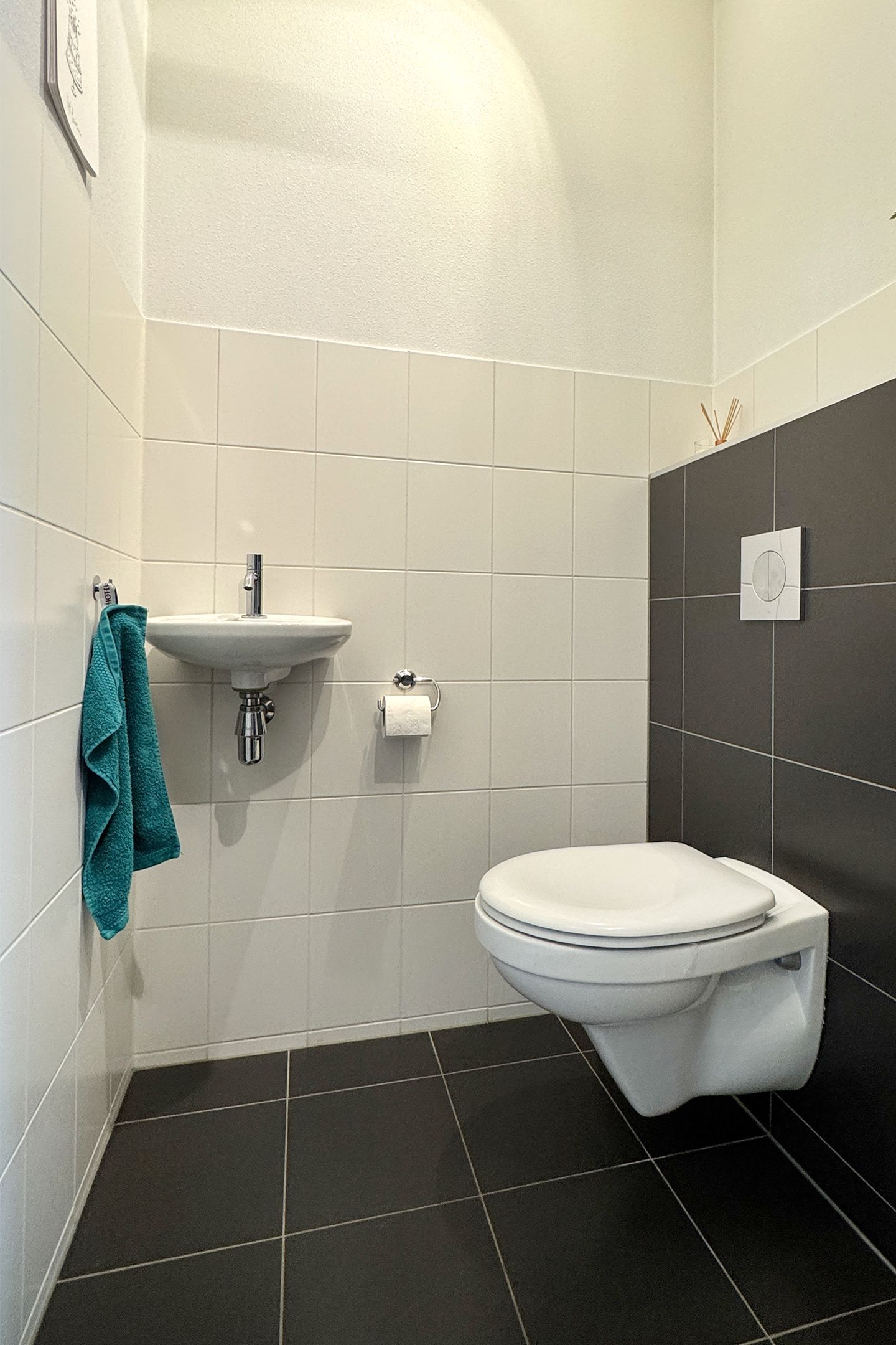 Foto 25 van Sterappel 36