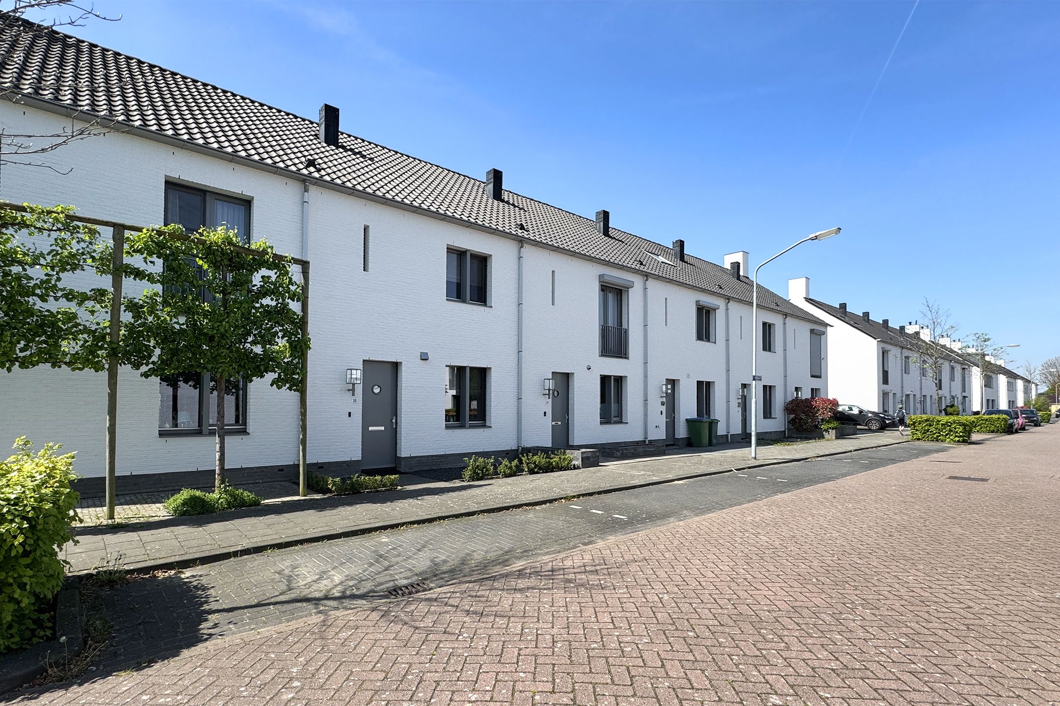 Foto 54 van Sterappel 36