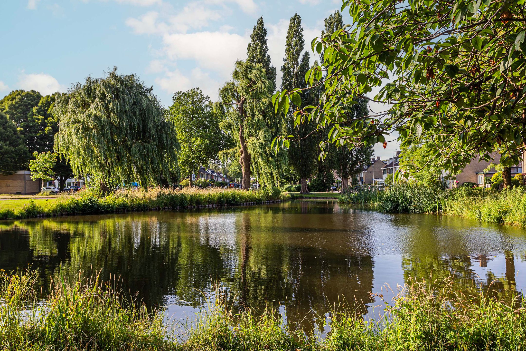 Photo 39 of C. van Leeuwenstraat 5