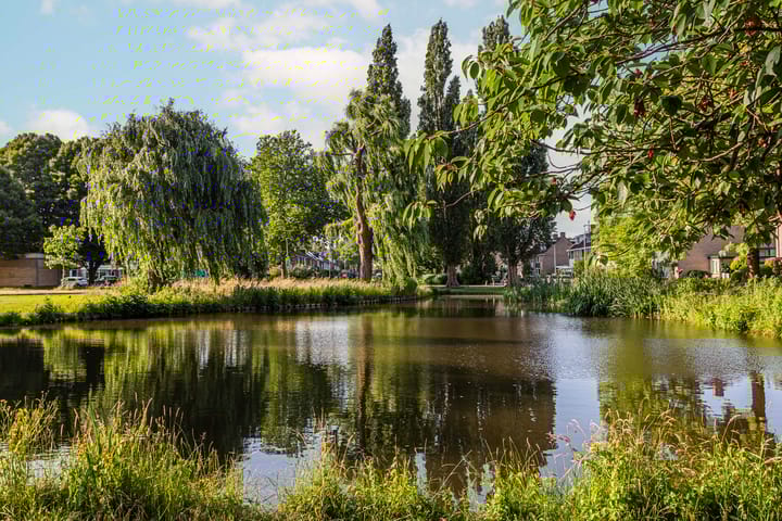 Foto 39 van C. van Leeuwenstraat 5