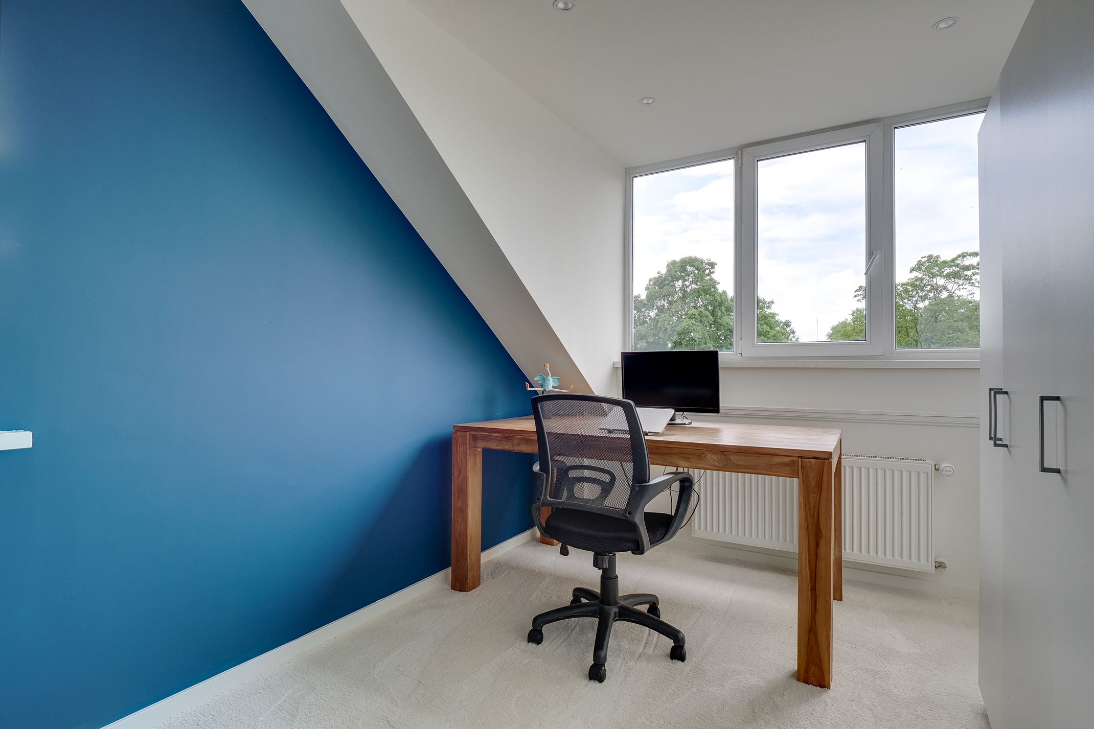 Foto 48 van Ringslangweide 9