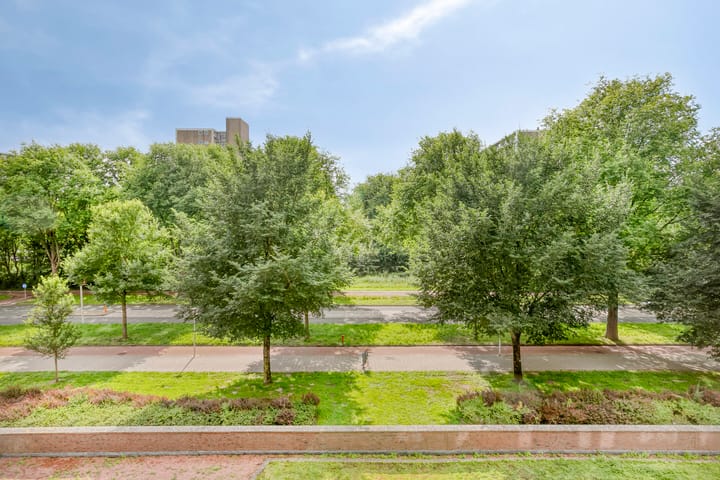 Foto 6 van Evertsweertplantsoen 40