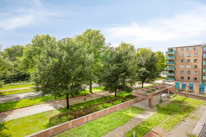 Foto 21 van Evertsweertplantsoen 40