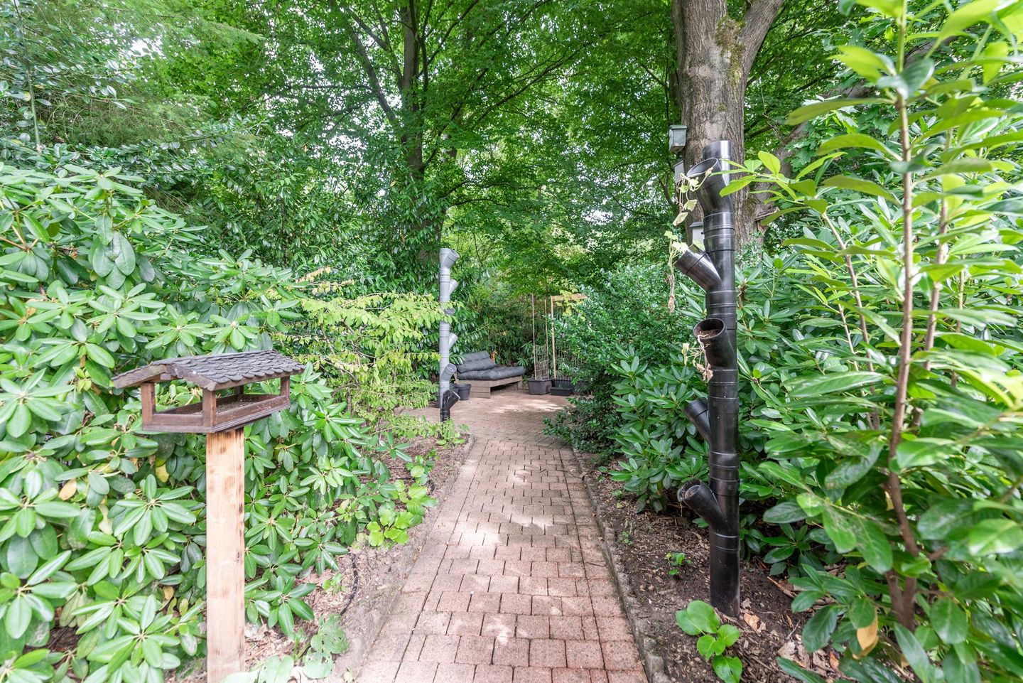 Foto 5 van Lage Bergweg 41-62