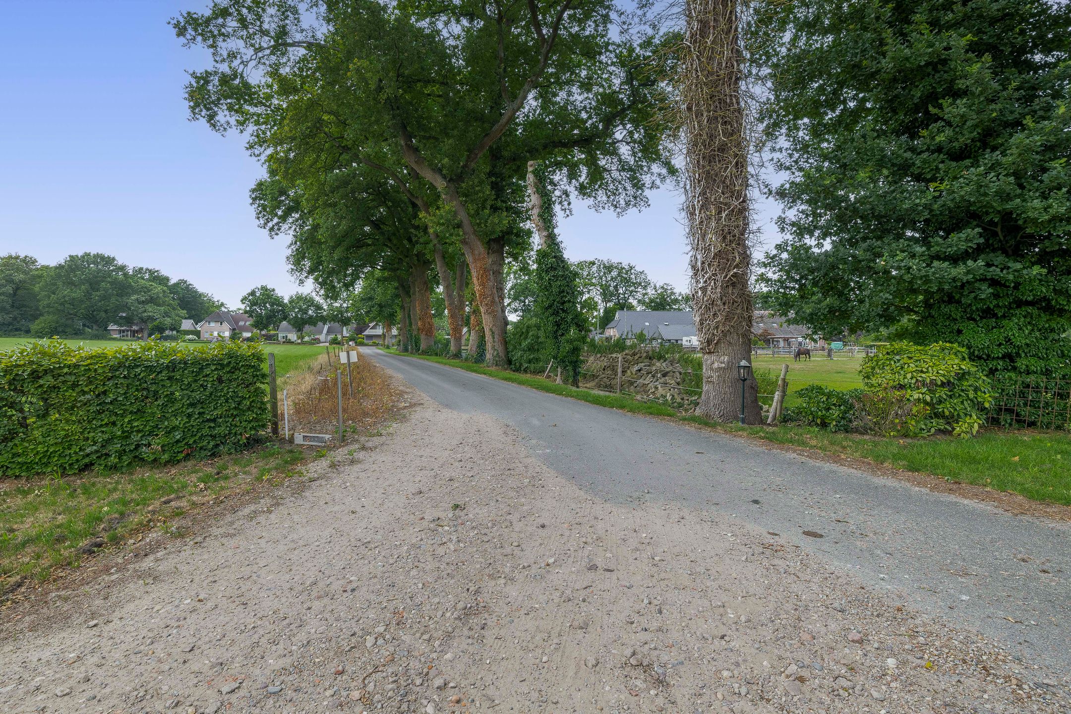 Photo 69 of Koedrift 11