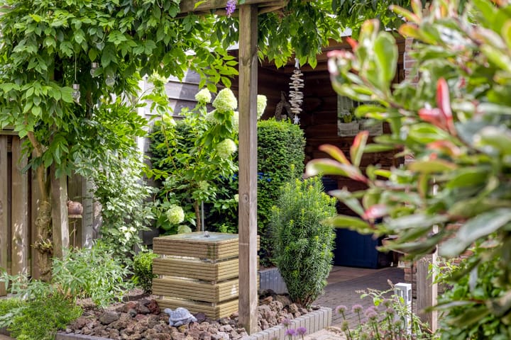 Foto 25 van Watersnip 26