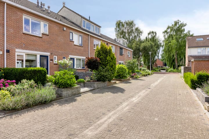 Foto 31 van Watersnip 26