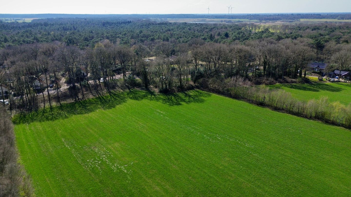 Photo 79 of Koedrift 11