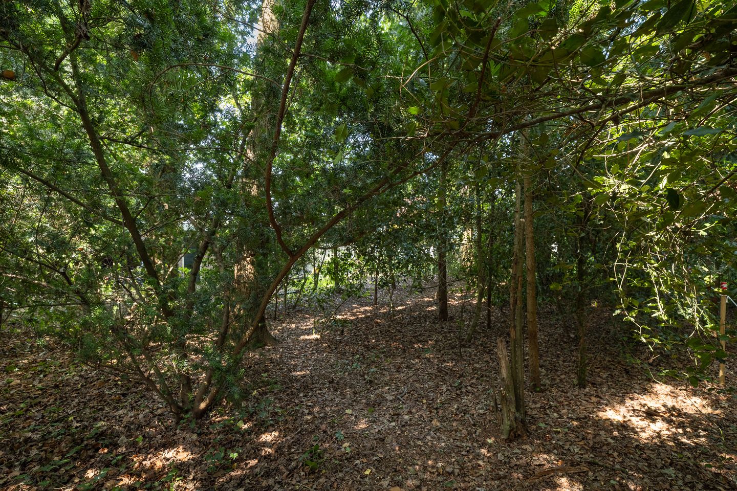 Foto 44 van Oranjelaan 31