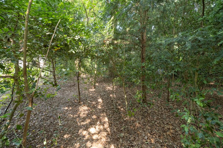 Photo 45 of Oranjelaan 31