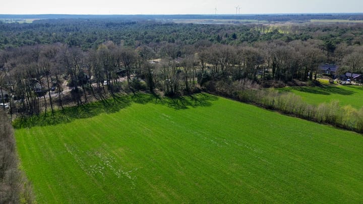 Photo 78 of Koedrift 5