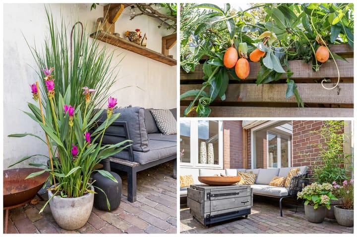 Photo 36 of De Bik 6