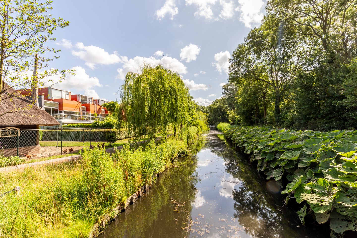 Foto 4 van Eendenkooistraat 4