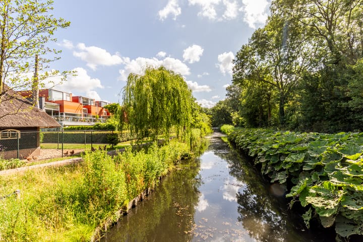 Foto 4 van Eendenkooistraat 4