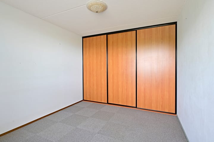 Foto 12 van Koraal 130