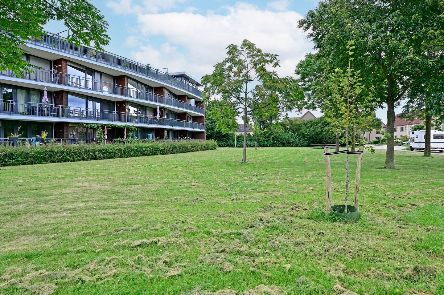 Foto 25 van Koraal 130