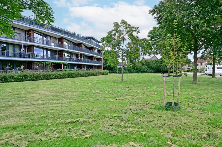 Foto 25 van Koraal 130