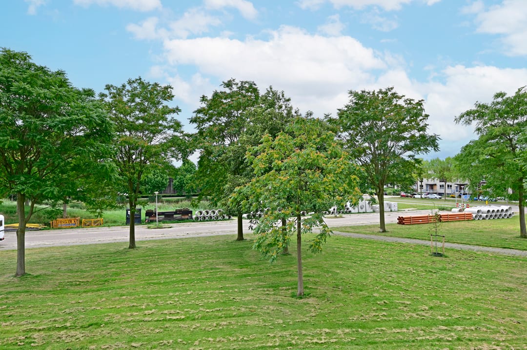 Foto 26 van Koraal 130