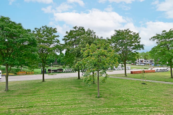 Foto 26 van Koraal 130