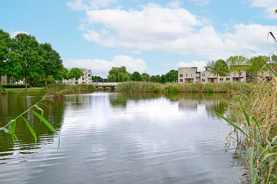 Foto 28 van Koraal 130