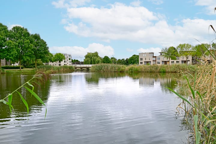 Foto 28 van Koraal 130