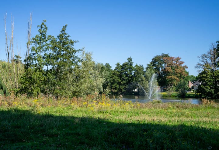 Foto 37 van Lijsterlaan 24