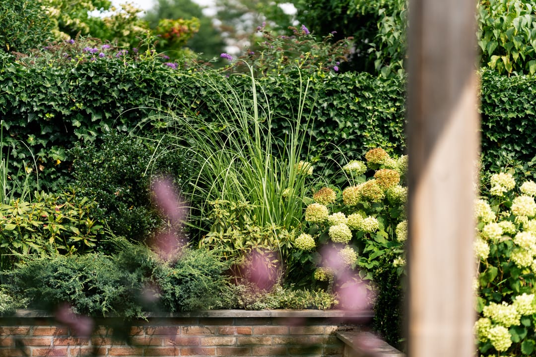 Photo 58 of Daasdonklaan 7