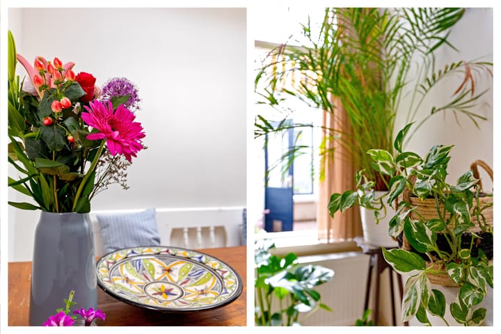 Foto 15 van Padangstraat 61