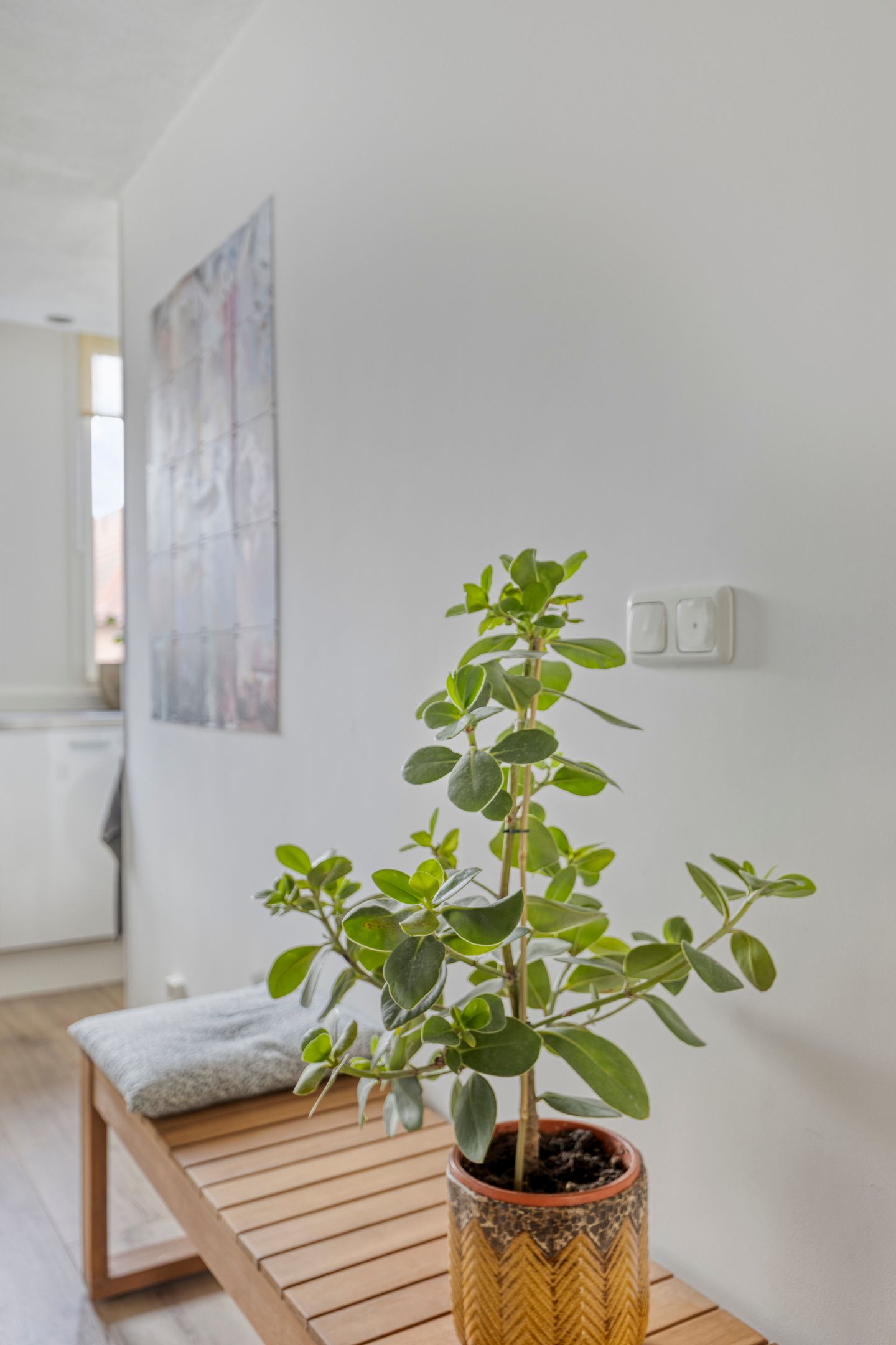 Foto 9 van Stroveer 80