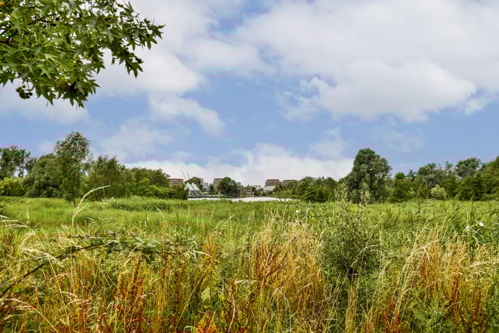 Foto 23 van Crabschuytstraat 19