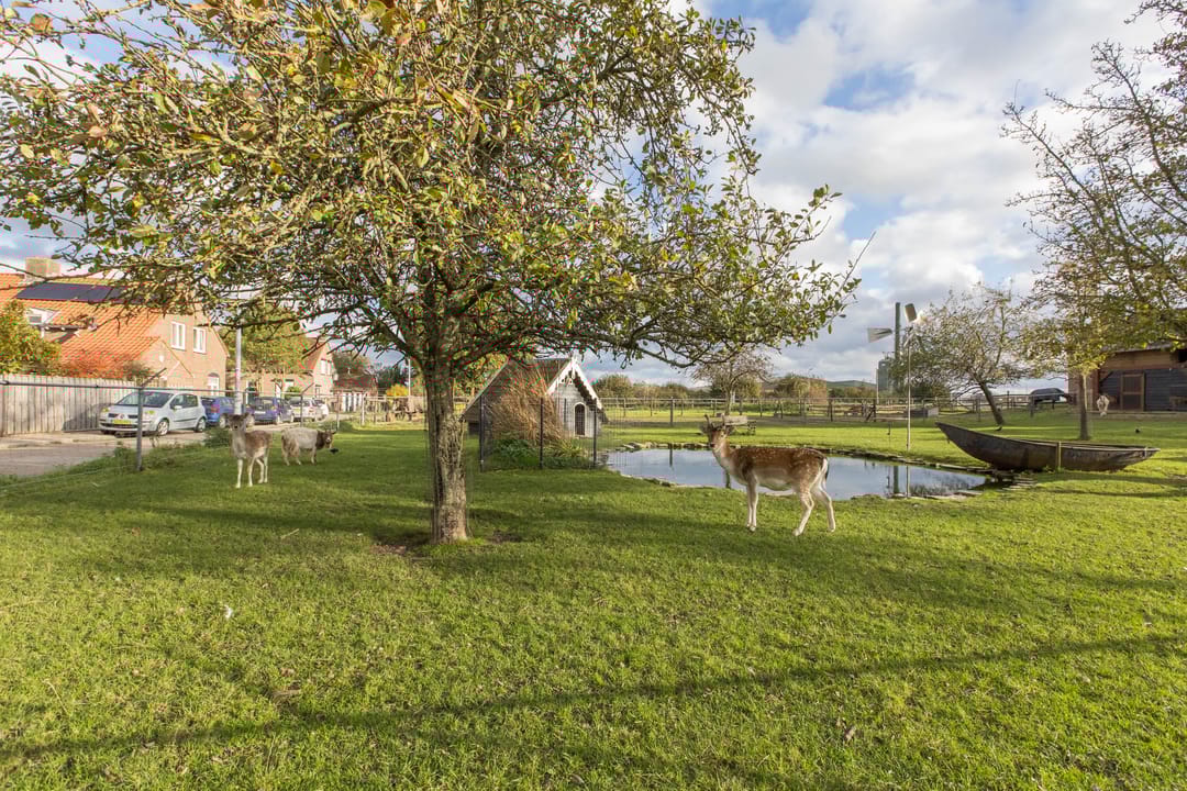 Foto 38 van Dijkhoevestraat 15