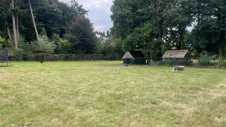 Photo 26 of Waldeck Pyrmontlaan 11