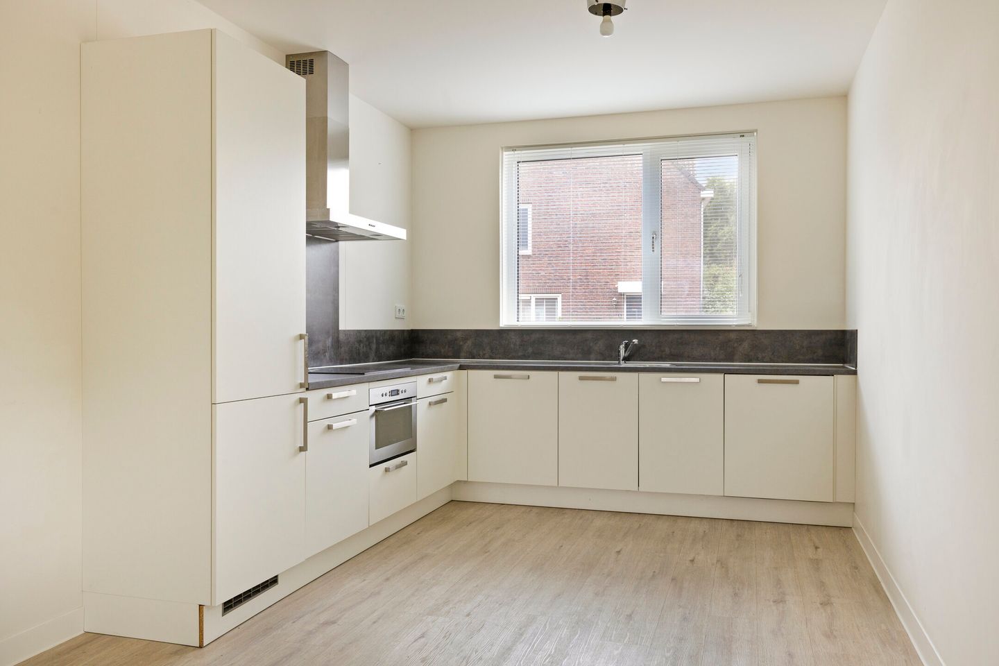 Photo 14 of Haver 56