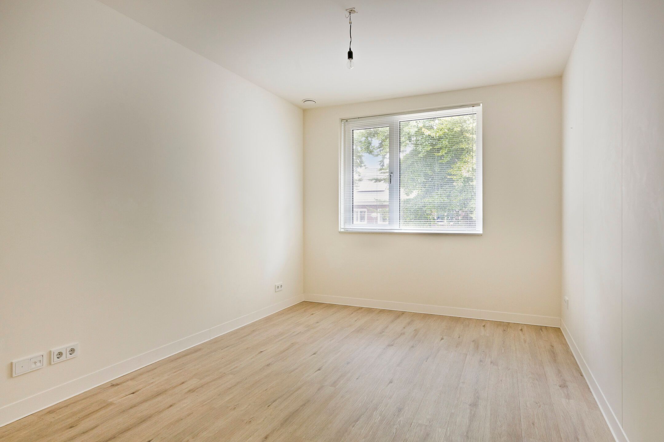 Photo 18 of Haver 56