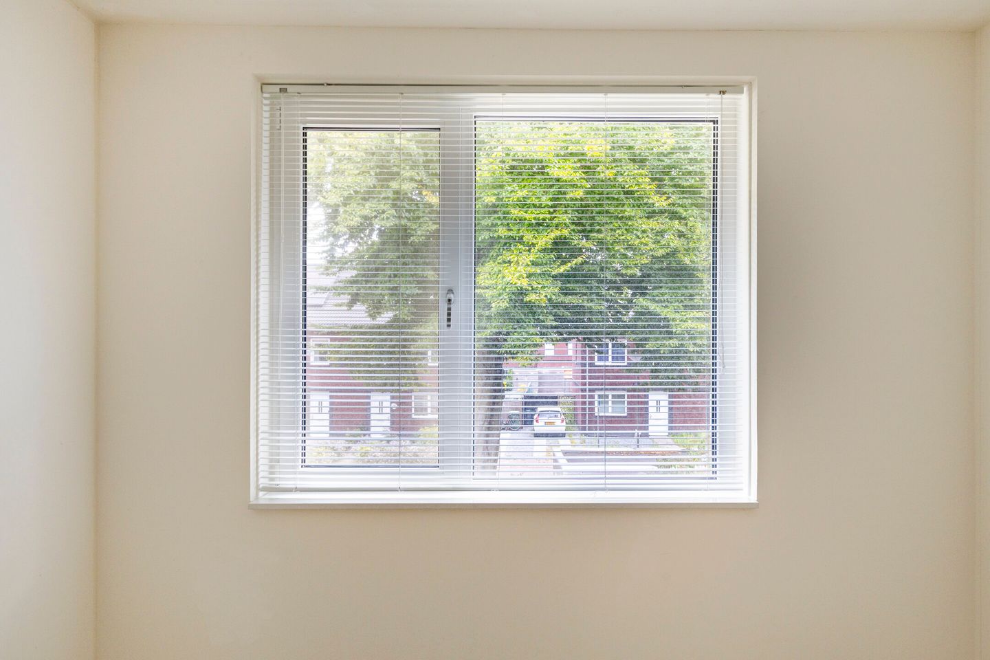 Photo 20 of Haver 56