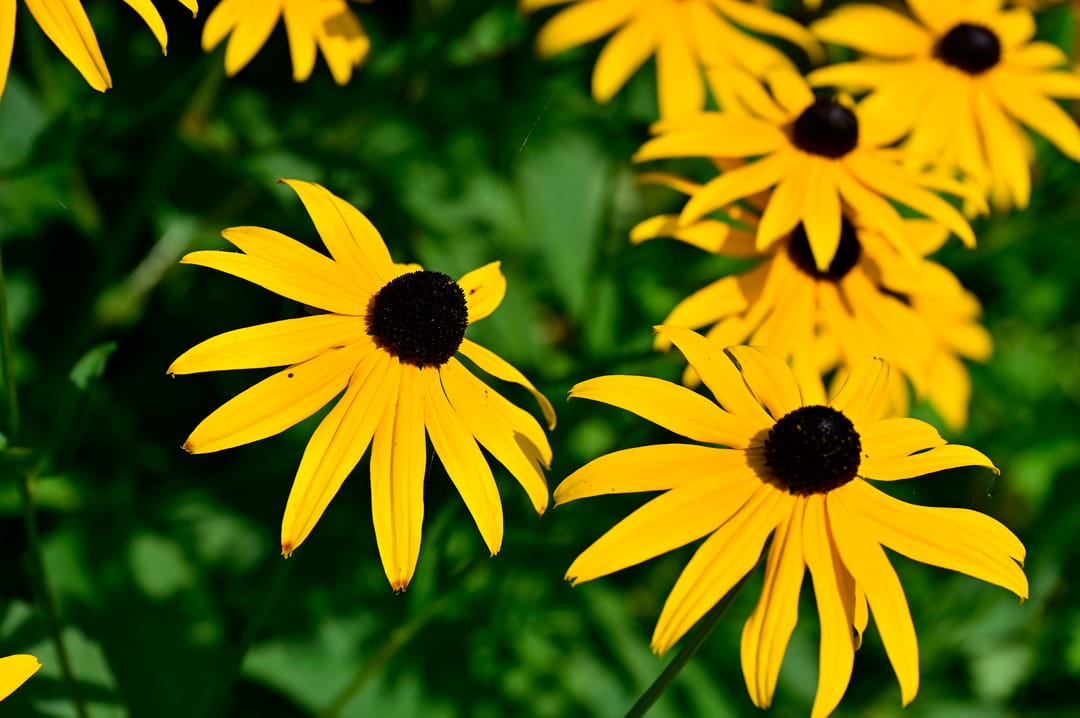 Foto 53 van Zuideinde 64